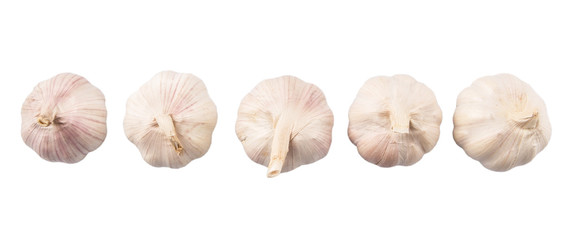 Garlic over white background