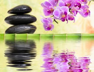 Obraz na płótnie Canvas Japanischer ZEN Garten mit Wasserspiegelung