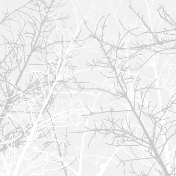 Branches texture pattern. Soft background.