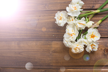 Obraz na płótnie Canvas Background with fresh daffodils