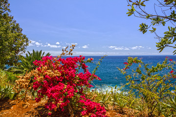 Fototapety na wymiar - Fototapeta24.pl