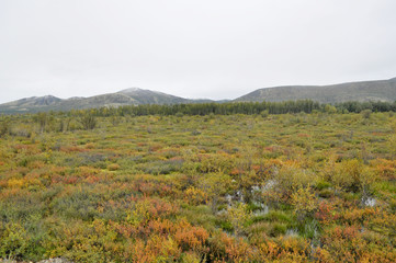 Autumn tundra on the background of mountains in Yakutia.