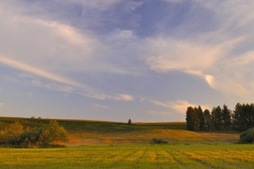 Fototapeta premium Clouds over the meadow