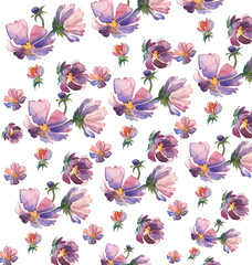 Seamless pattern with flowers aster