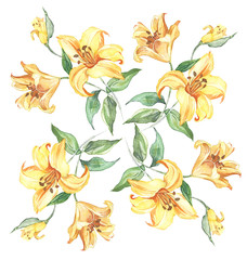 Seamless pattern with flowers lily watercolor - 81881061