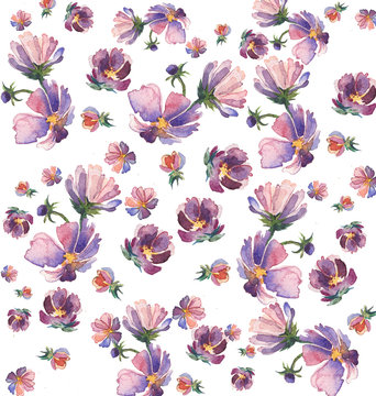 Seamless pattern with aster flowers