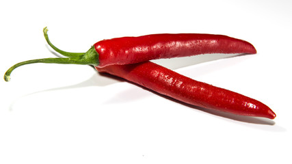 Chilli © SPB