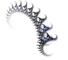 Detailed view of fractal color and black background