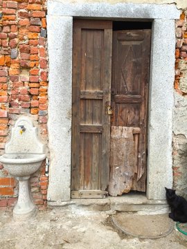 black cat on the door
