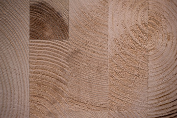 glued hardwood tree texture background