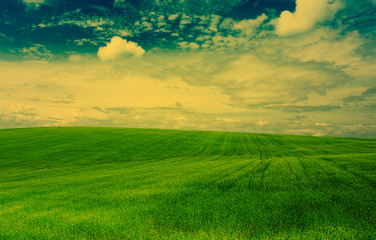 green field