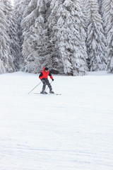 Skier in red jacket on move coming down the mountain trail