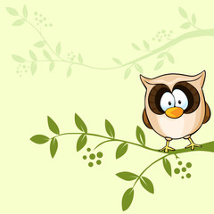vector design with cute owl
