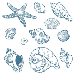 Vector set of sea fauna