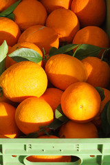 fresh oranges closeup on the market. vertical