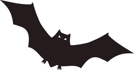 Bat at night