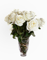 Beautiful White Roses