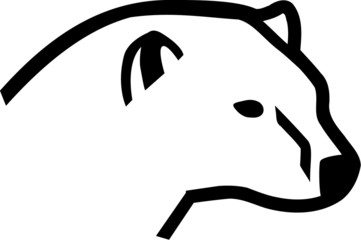 Polar bear head side
