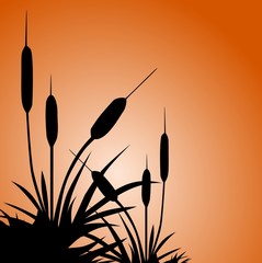 Grass and Sunset - Illustration