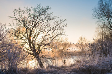 Sonnenaufgang an den Regnitzwiesen