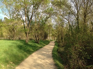 Fototapeta na wymiar Spring pathway