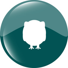 Owl on icon button isolated