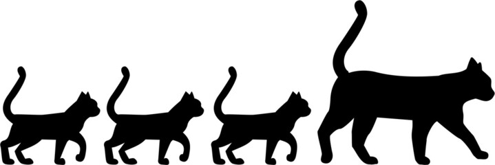 Cat family © Miceking