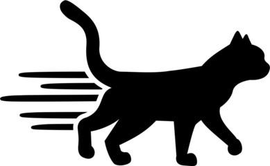 Running cat