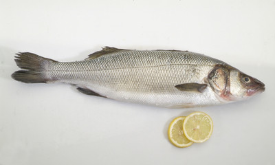 Fresh sea bass with lemon