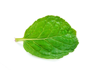 Fresh mint on white background