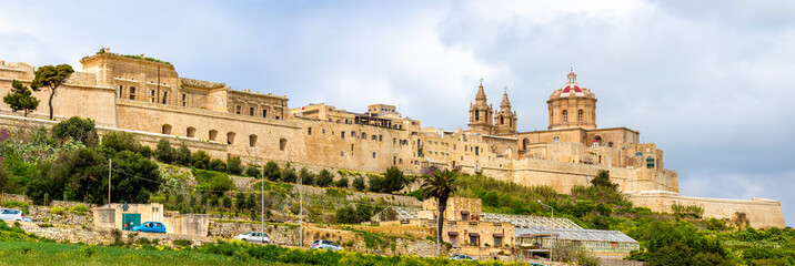 Naklejka premium View of the Cathedral of St. Paul in Mdina - Malta