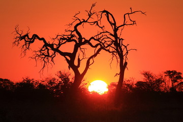 Tramonto Africano
