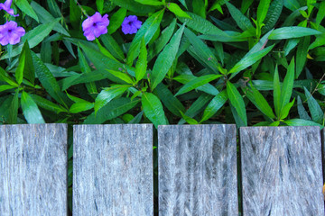 wood and green plant  texture