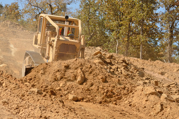 Obraz premium Bull Dirt