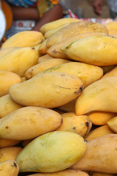 mango fruit at the market