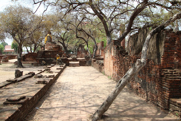 Fototapeta premium Ancient palaces. Ayutthaya Thailand