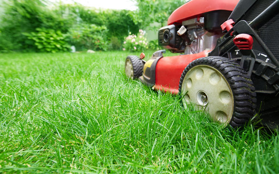 Lawn Mower Images – Browse 88,654 Stock Photos, Vectors, and Video | Adobe  Stock