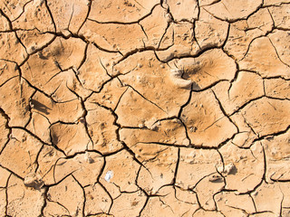Fototapeta premium cracked earth