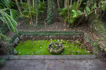 Abandond Pond