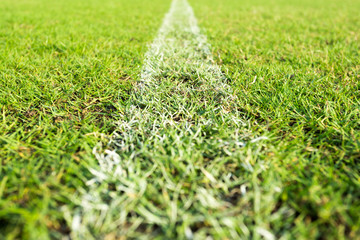 Grass green background