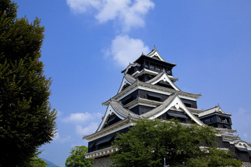 Fototapeta premium 熊本城