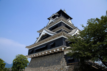 Fototapeta premium 熊本城
