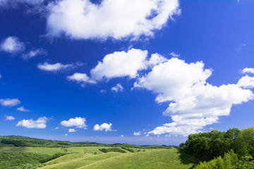 Naklejka premium 北の大地の草原風景