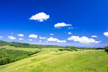 北の大地の草原風景