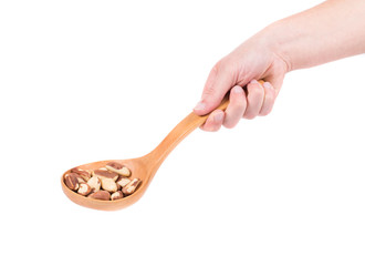 Wooden spoon with brazil nuts.