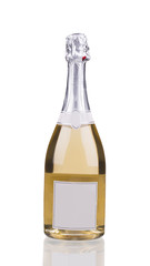 Close up of champagne bottle.