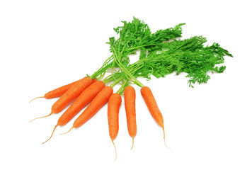 Stack of ripe carrots with green tops (isolated)