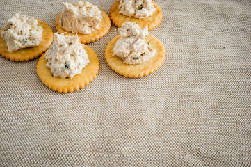Cracker with tuna spread