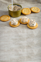 Cracker with tuna spread