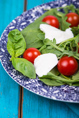 Healthy diet salad with tomatoes and mozzarella